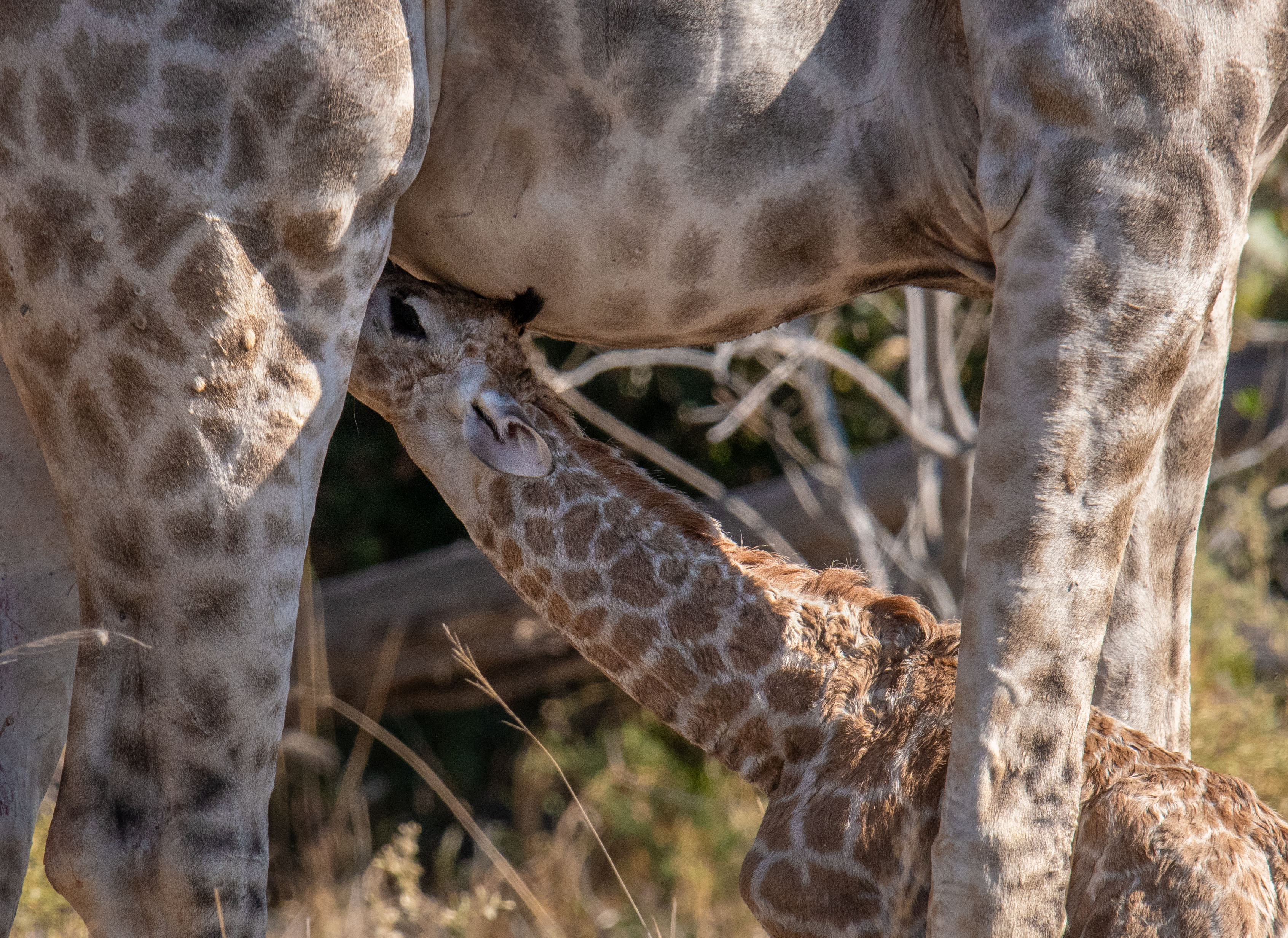 What makes our guides exceptional