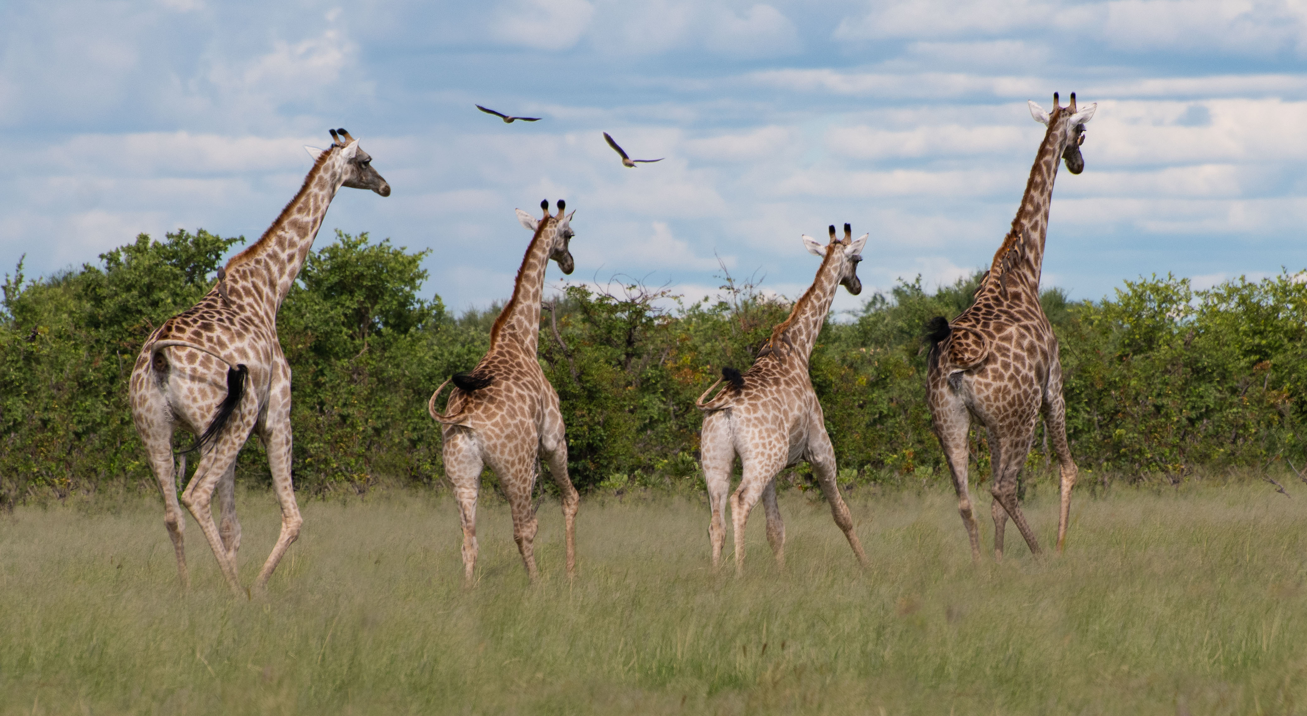Tailor-made itineraries